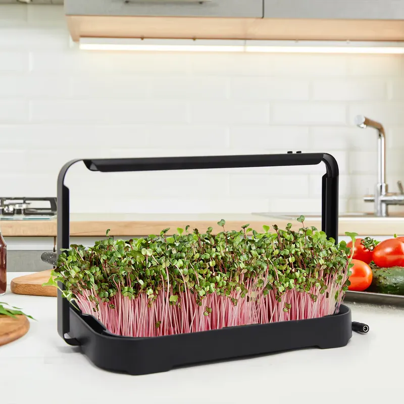 Smart Garden Usa - Hydroponic Tray Indoor Microgreen Microgreen Seeds