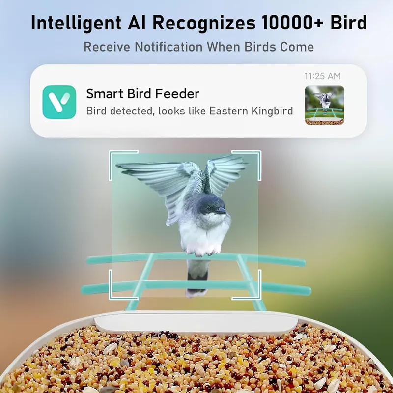 Smart Bird Feeder Camera with  - Smart Garden Video recension och pris