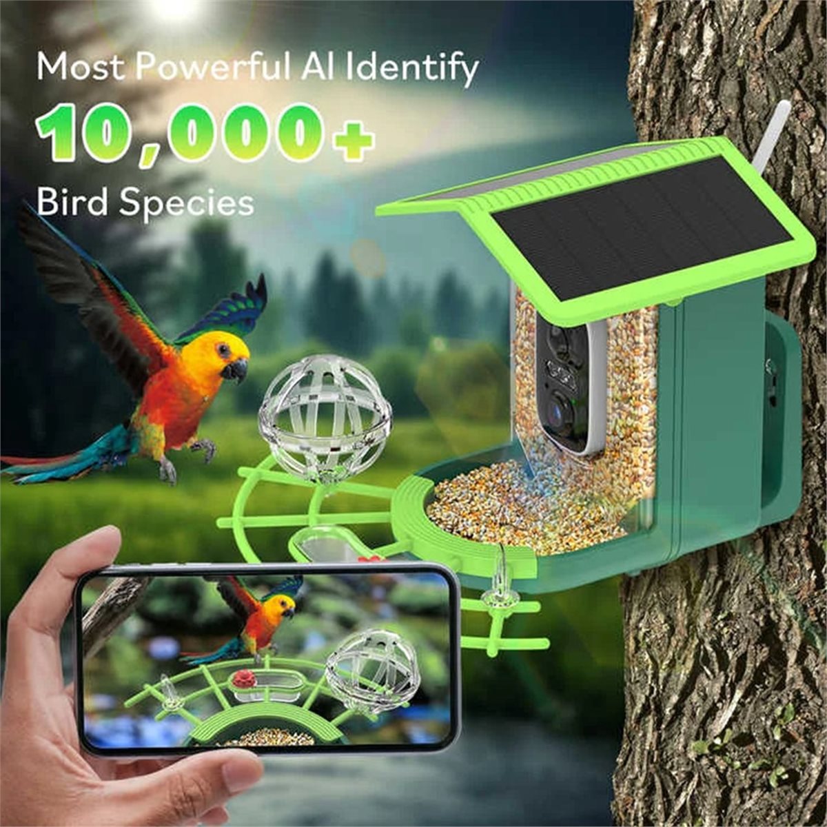 ABPP Smart Bird Feeder Camera  - Smart Garden Video recension och pris