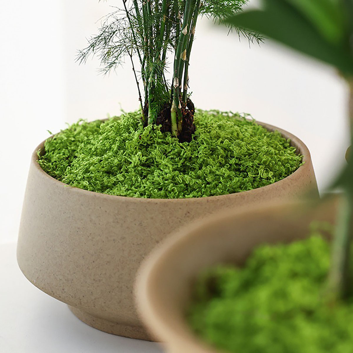 About 20g Artificial Green Pla - Smart Garden Ai recension och pris