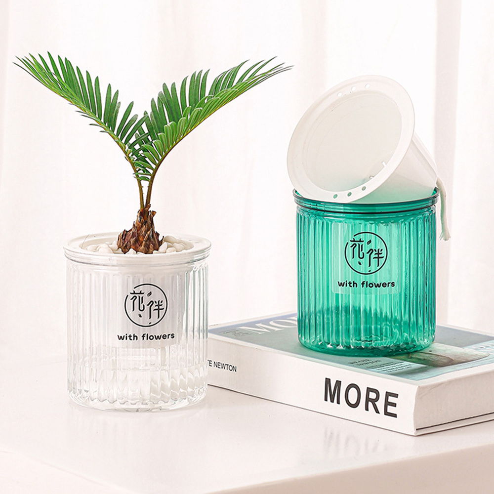 Desktop Self Watering Planter  - Smart Garden Domes recension och pris