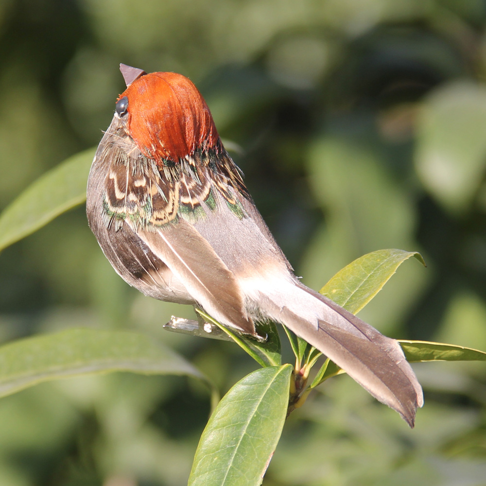 2Pcs Hot Feather Bird Imitatio - Smart Garden Ai recension och pris